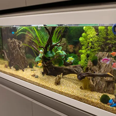 Maison D'elite Daire Napoli