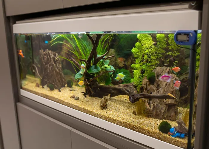 Maison D'élite Appartamento Napoli